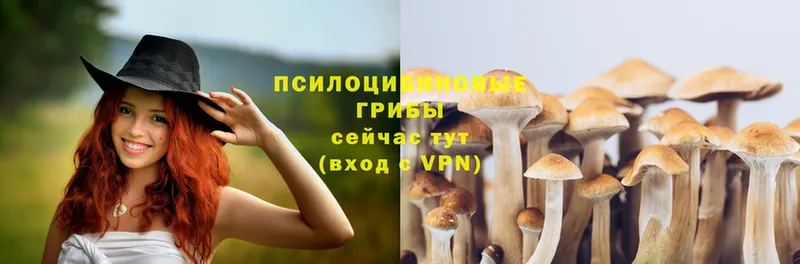 Псилоцибиновые грибы Magic Shrooms  где можно купить наркотик  Верхотурье 